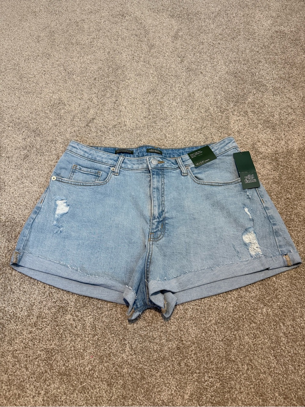 Casual Light Blue Denim Shorts - wild Fable